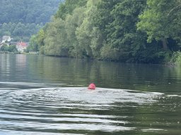 Mainschwimmen Juni 2026